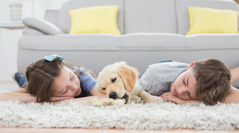 为什么狗狗会打嗝?狗狗打嗝是腹胀的表现吗?(图1)