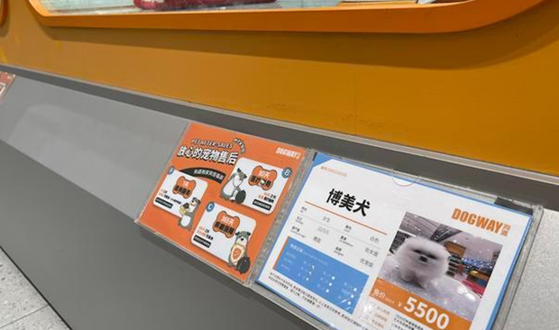 独家调查|萌宠商业秘密:猫一生或消费20万,宠物医疗、保险、殡葬向人类看齐(图2)