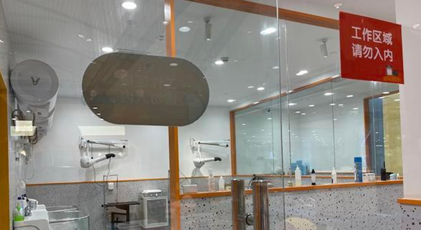 独家调查|萌宠商业秘密:猫一生或消费20万,宠物医疗、保险、殡葬向人类看齐(图5)