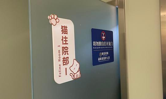 独家调查|萌宠商业秘密:猫一生或消费20万,宠物医疗、保险、殡葬向人类看齐(图8)