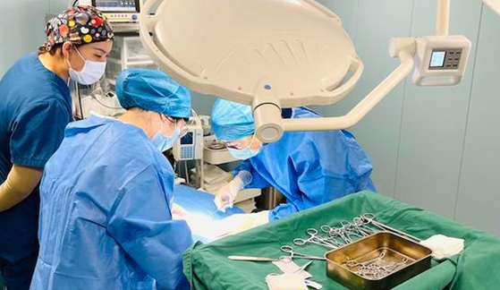 独家调查|萌宠商业秘密:猫一生或消费20万,宠物医疗、保险、殡葬向人类看齐(图10)