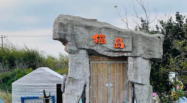 独家调查|萌宠商业秘密:猫一生或消费20万,宠物医疗、保险、殡葬向人类看齐(图11)