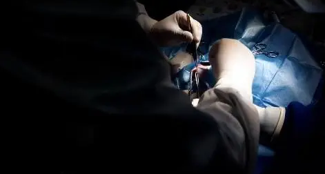 小猫腹部撕,虽熬过了手术,却还没能扛过来(图6)