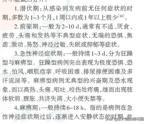 猫咪的狂犬疫苗应该如何注射?被猫咪咬了怎么办?(图11)
