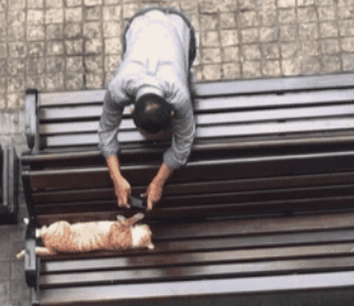 猫躺在椅子上睡觉,大爷环顾四周后掏出手机,接着的画面让人笑喷(图1)