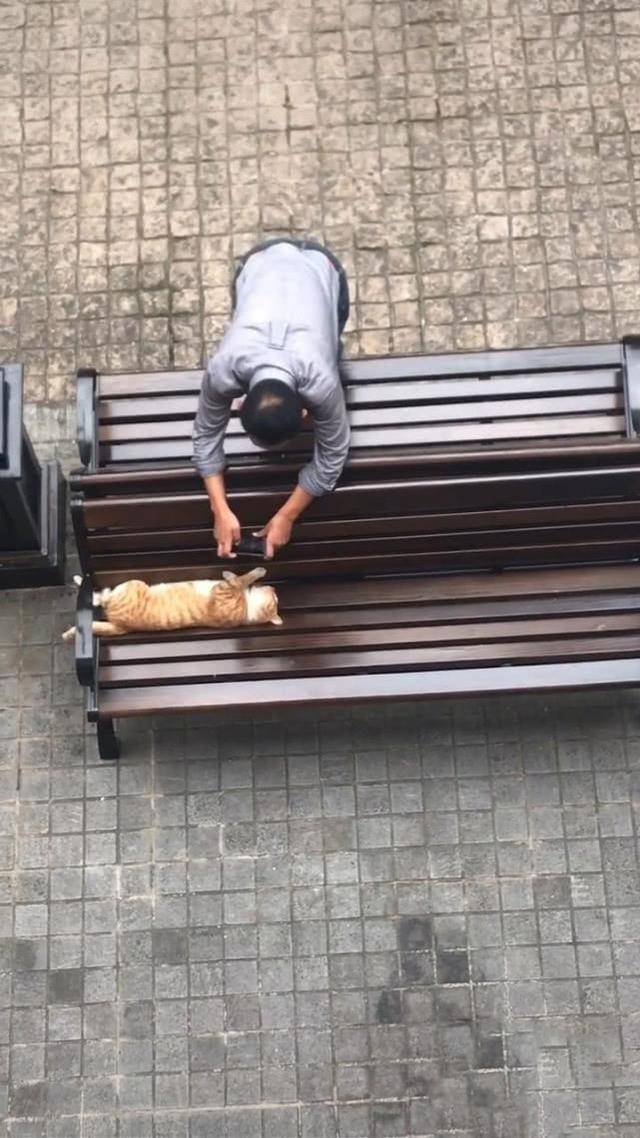 猫躺在椅子上睡觉,大爷环顾四周后掏出手机,接着的画面让人笑喷(图4)