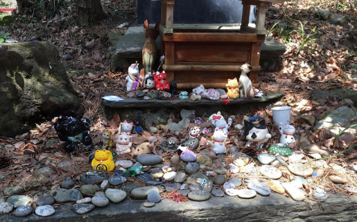 “奇葩”岛屿禁止任何狗上岛,却是猫咪的天堂(图2)