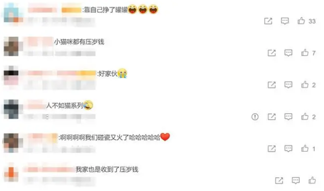 女子带猫咪回家过年,猫收到近千元的红包(图3)