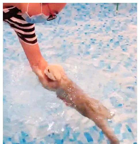 女子把猫咪送宠物店,下班回来进屋一看,拍照发朋友圈(图2)