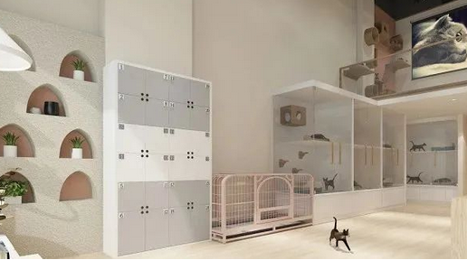 大学生在宠物店兼职被猫咬伤,去治疗却被斥小题大做……(图2)