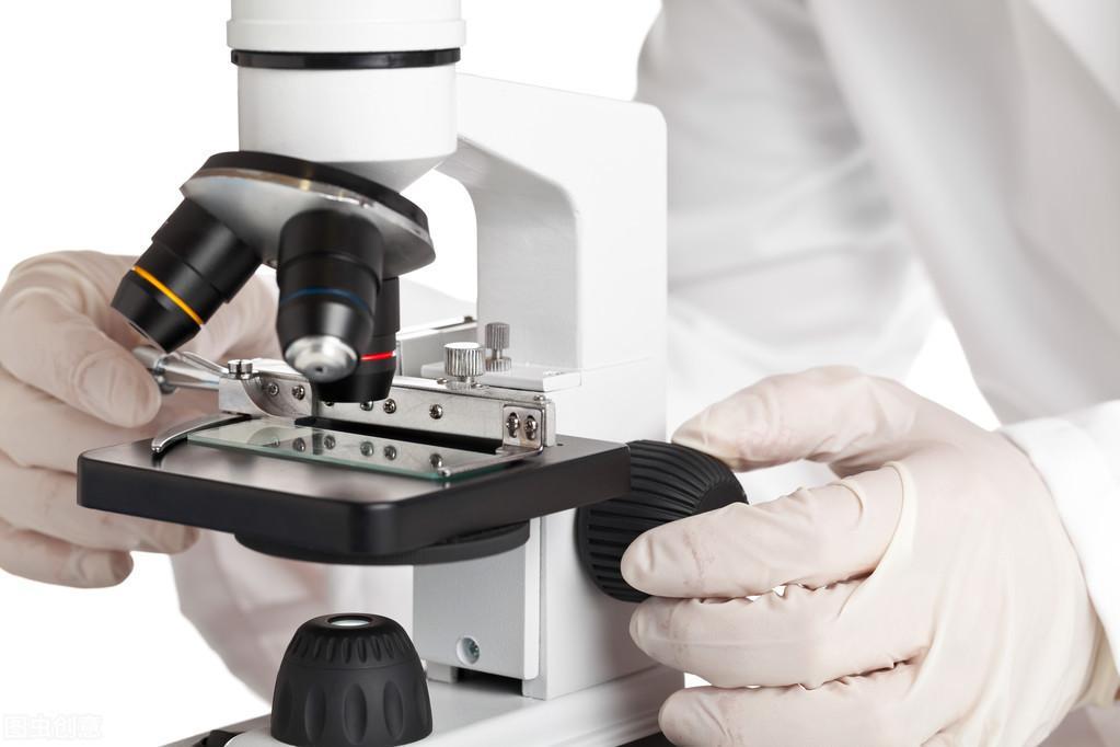 猫咪临床具体用法抽血检查分析以及血液生化检验项目(图7)