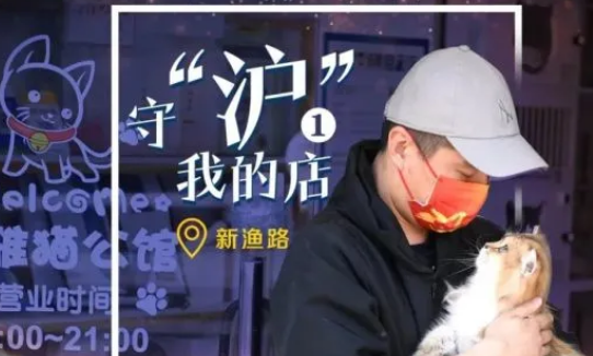 守“沪”我的店|再苦不能苦了猫主子(图1)