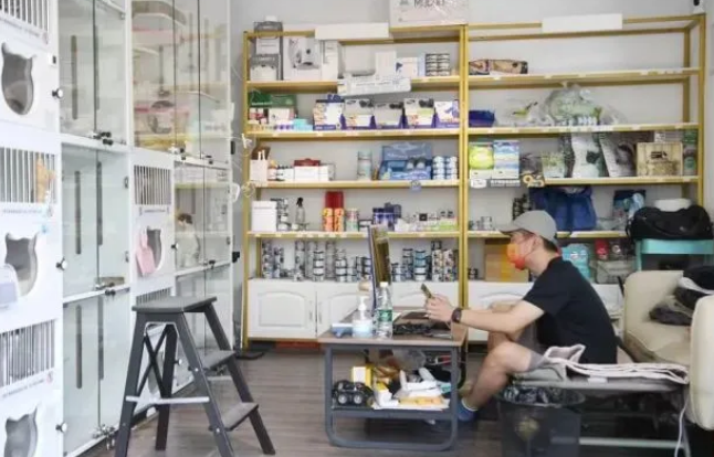 守“沪”我的店|再苦不能苦了猫主子(图2)