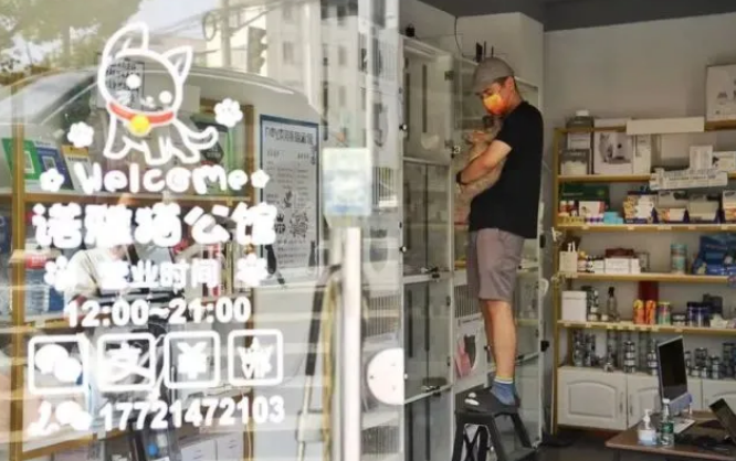 守“沪”我的店|再苦不能苦了猫主子(图4)