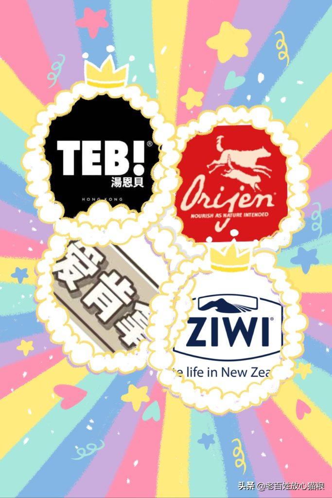 刚出生的小猫吃什么,小猫多大可以吃猫粮?(图2)