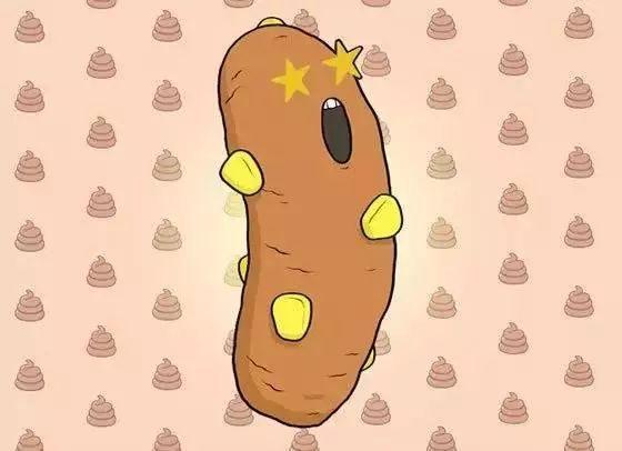 狗狗的便便直接反应狗狗的身体健康情况!藏在狗狗便便里的那些秘密(图2)