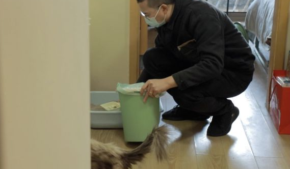 小伙轮流上门照顾9只猫咪,爱心暖爆朋友圈(图2)