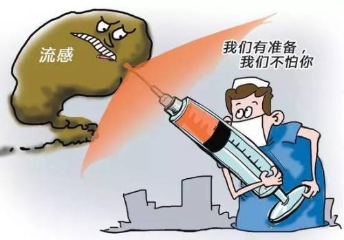 新出生的幼犬怎么喂养才好?新生幼犬喂养手册(图4)