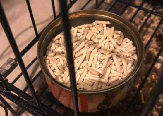 老爸发来消息说猫不吃猫粮,网友点开后语塞(图2)