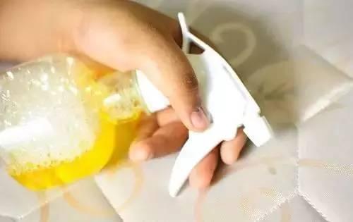 家里总是飘着一股狗味?分享6个去除异味的小妙招(图6)