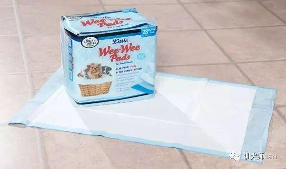 狗狗绝育后应该注意什么?狗狗绝育后恢复期会出现哪些症状和现象?(图2)