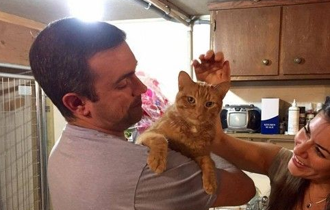 夫妻俩开四天三夜的车 只为领养遭遗弃的橘猫(图1)