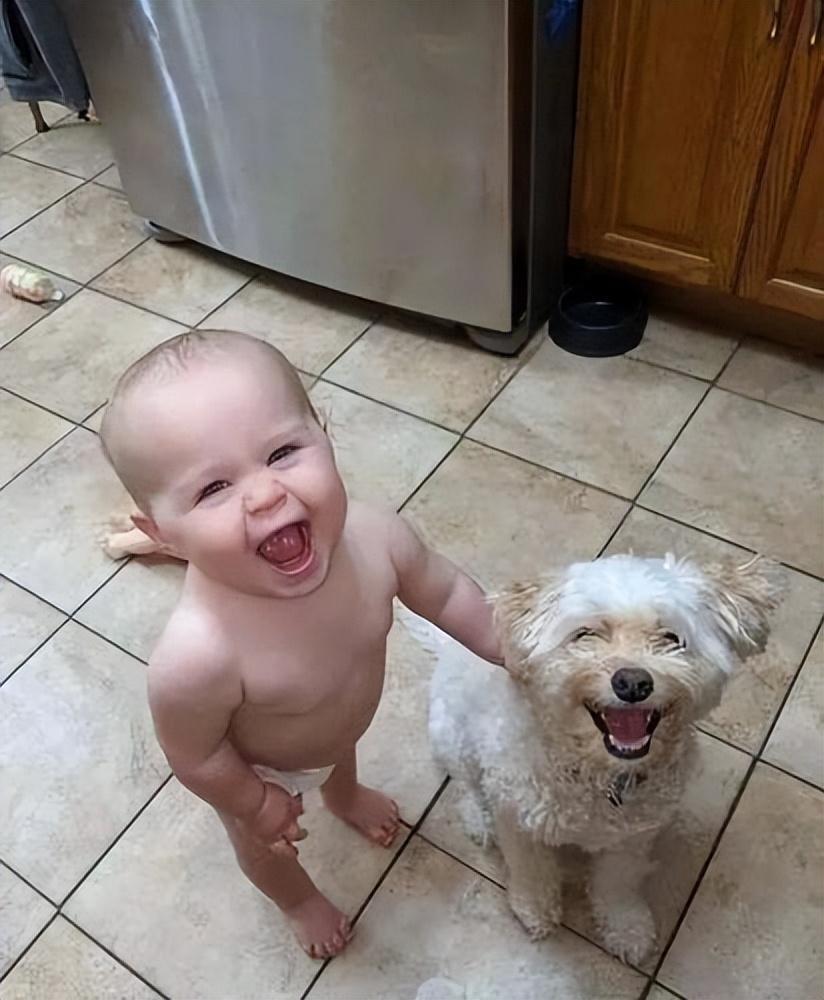 狗狗为什么会喜欢跟小孩玩?小孩对它又打又骂也不曾反抗,到底是为什么?(图5)