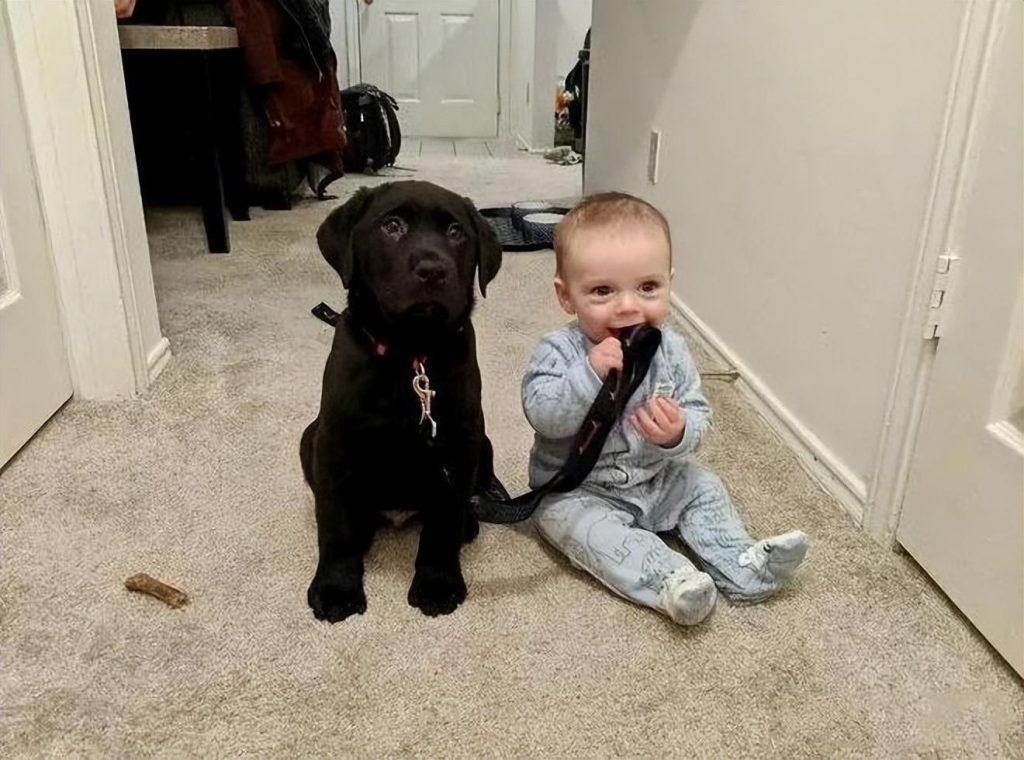 狗狗为什么会喜欢跟小孩玩?小孩对它又打又骂也不曾反抗,到底是为什么?(图6)