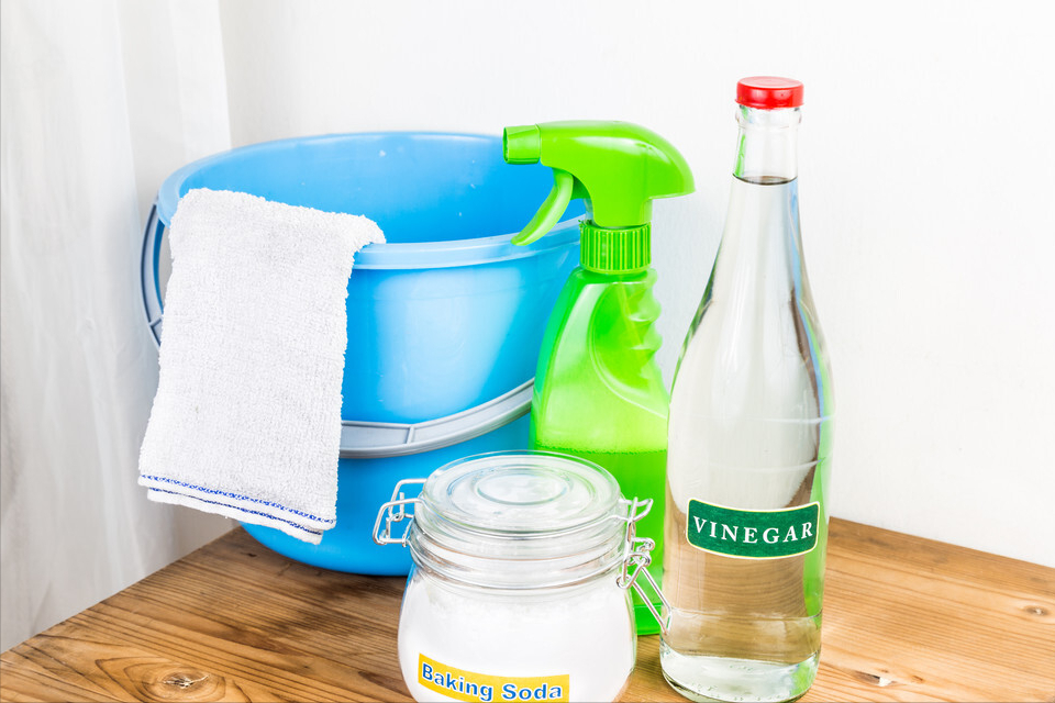 想要家里没有“狗味”可以怎么做?5个可以去除“狗味”的方法,养狗几年都不知道(图3)