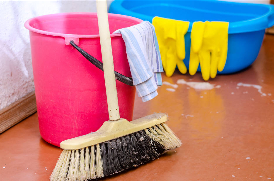 想要家里没有“狗味”可以怎么做?5个可以去除“狗味”的方法,养狗几年都不知道(图2)