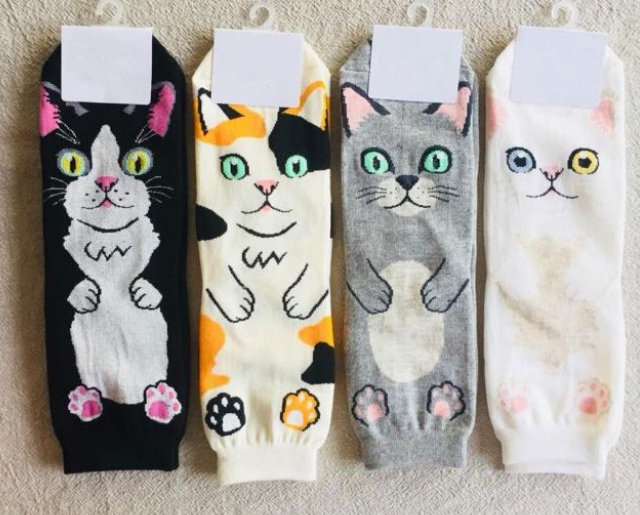 没眼看!可爱猫咪竟有这种癖好,主人十分困扰,求支招(图1)