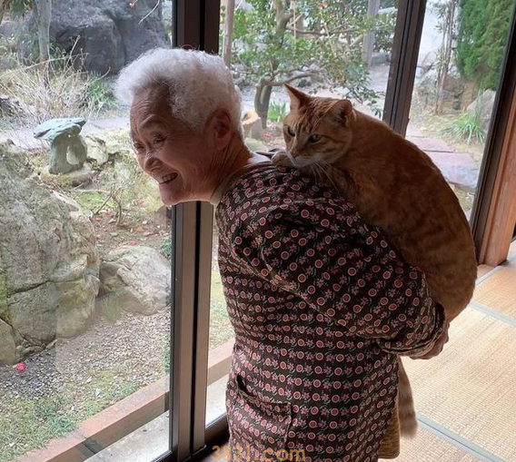 头发花白的奶奶背肥硕橘猫,却露温暖笑容,太治愈啦(图2)