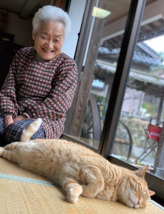 头发花白的奶奶背肥硕橘猫,却露温暖笑容,太治愈啦(图3)