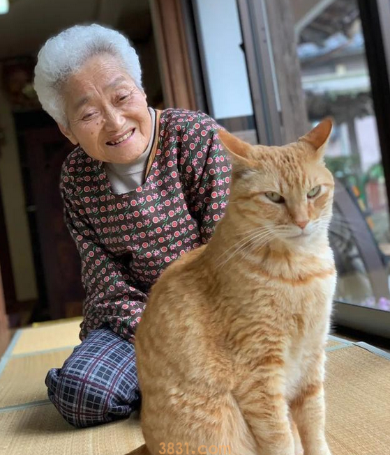 头发花白的奶奶背肥硕橘猫,却露温暖笑容,太治愈啦(图4)