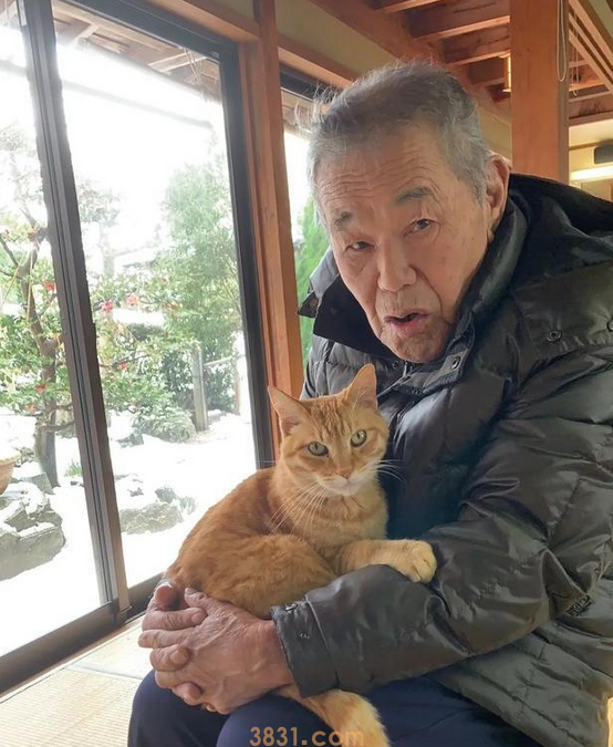 头发花白的奶奶背肥硕橘猫,却露温暖笑容,太治愈啦(图5)