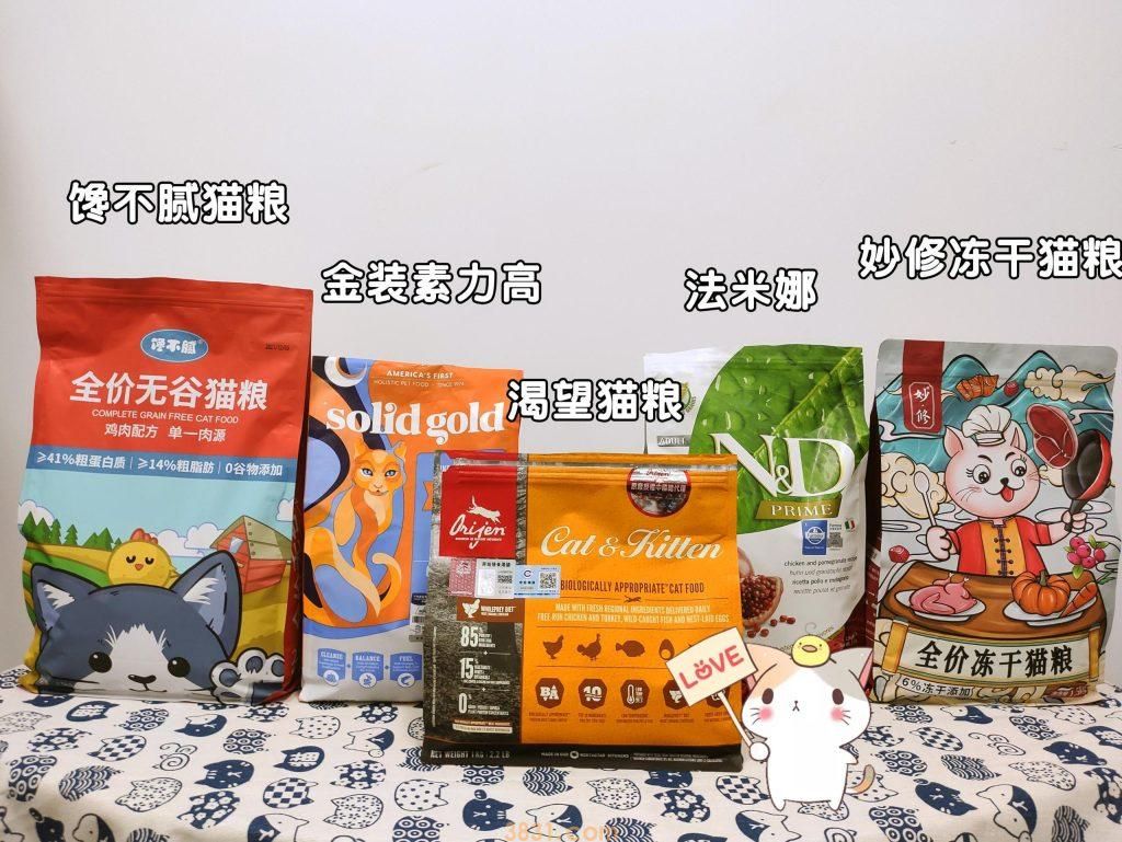 养猫,不建议养折耳猫,不建议的原因是什么?(图7)