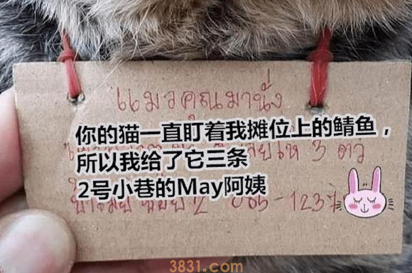 猫咪脖子上挂了个牌子,原来是吃了霸王餐(图2)