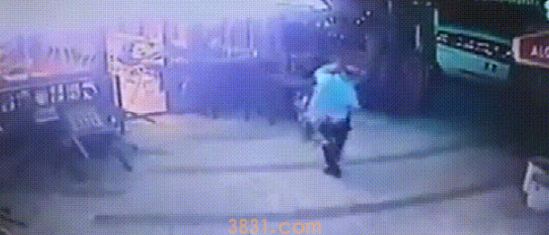 光头男带狗进店被凶悍猫咪暴揍,裤子都被扒下,究竟做错了什么?(图1)