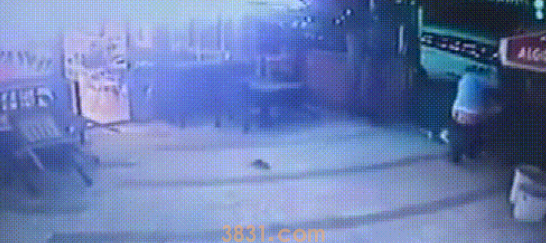 光头男带狗进店被凶悍猫咪暴揍,裤子都被扒下,究竟做错了什么?(图2)