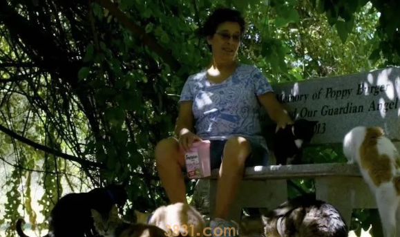 美国富婆变卖家产飞机,收养上千只流浪猫(图3)