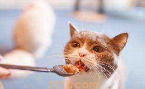 为什么猫咪吃多了零食罐会挑食?什么是主食罐,什么是零食罐?(图3)