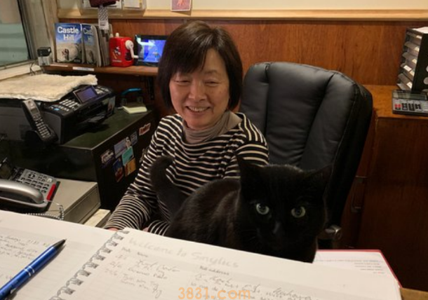 假如主人无意中做出这5种行为,猫咪会谅解吗?别太“频频”就好 假如主人无意中做出这5种行为,猫咪会谅解吗?别太“频频”就好