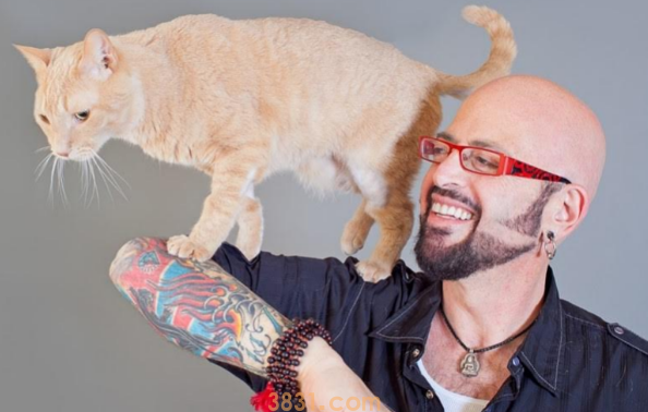 假如主人无意中做出这5种行为,猫咪会谅解吗?别太“频频”就好 假如主人无意中做出这5种行为,猫咪会谅解吗?别太“频频”就好