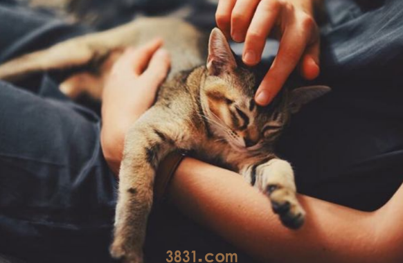 QQ截图20210701150228.png QQ截图20210701150228.png