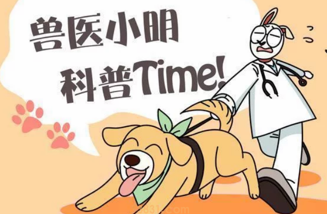 孕妈深夜被黑猫用力咬脸,痛醒后正准备发火 孕妈深夜被黑猫用力咬脸,痛醒后正准备发火