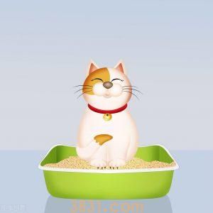 多长时间为猫咪换一次猫砂?猫砂多久更换?(图1)