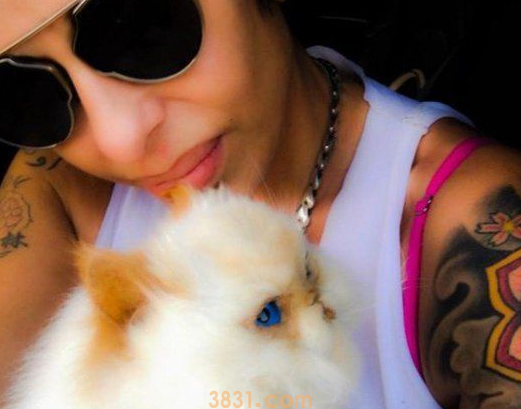 妹子将逝世宠物猫做防腐处理 从此寸步不离 妹子将逝世宠物猫做防腐处理 从此寸步不离