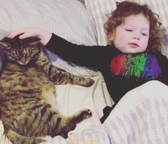 在妈妈的辅导之下 小女子超有慧根成为胜任猫奴 在妈妈的辅导之下 小女子超有慧根成为胜任猫奴