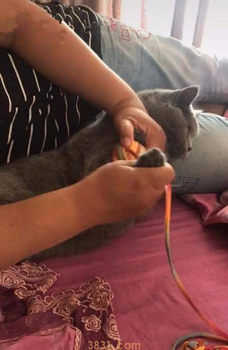 猫跟奶奶共处半年,男人探望时不由得笑喷,网友:猫还能这么用吗 猫跟奶奶共处半年,男人探望时不由得笑喷,网友:猫还能这么用吗