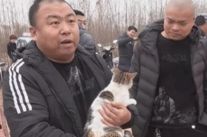 猫咪迷路主人苦寻,却在狗市意外相遇,相认时间笑坏周围人 猫咪迷路主人苦寻,却在狗市意外相遇,相认时间笑坏周围人